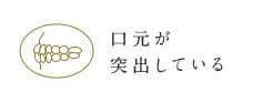 口元が突出している